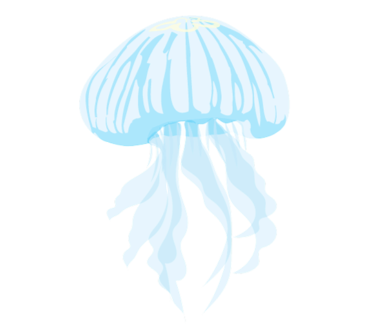 Jellyfish Illustration