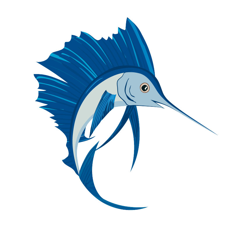 Sailfish Illustration