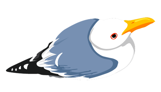 Seagull Illustration