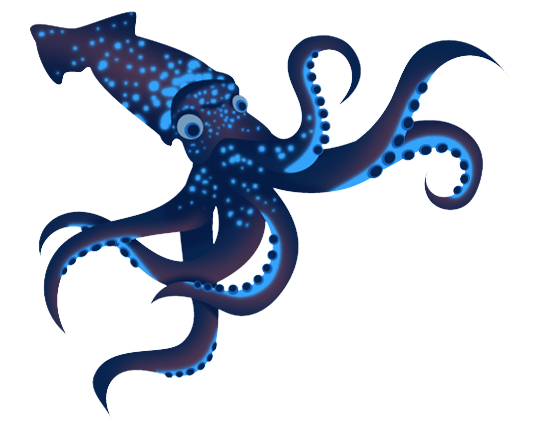 Squid Illustration